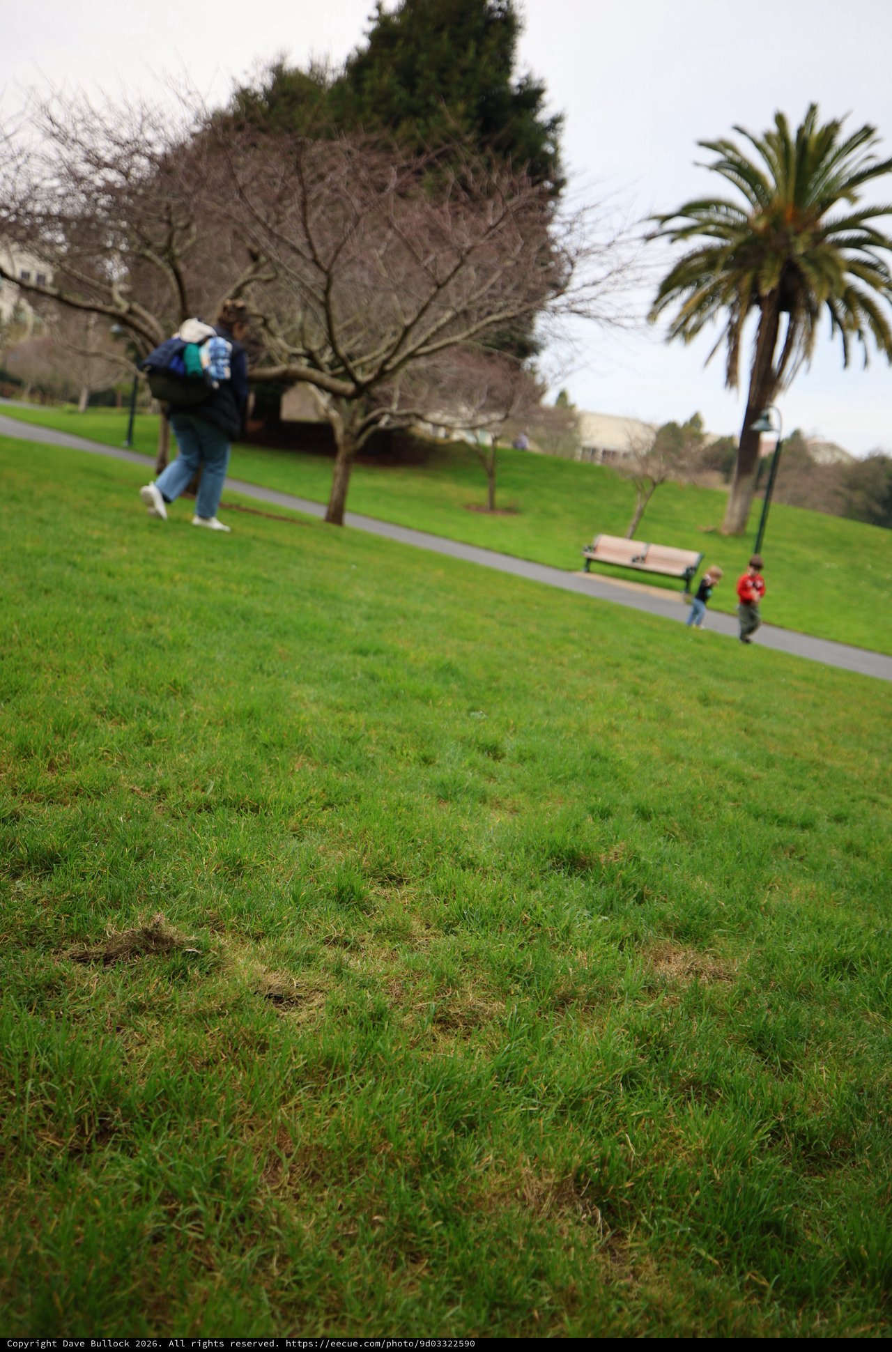 Playful Moment at Park on Hillside Path