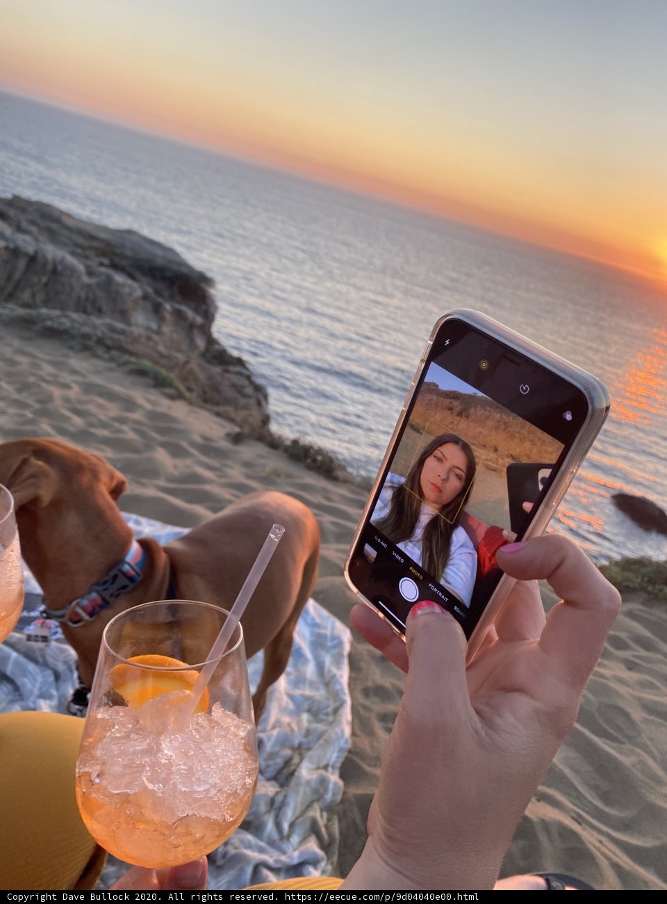 Beach Buddies