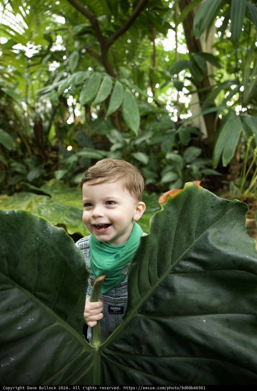 Embracing Nature: Adventure in the Heart of the Jungle