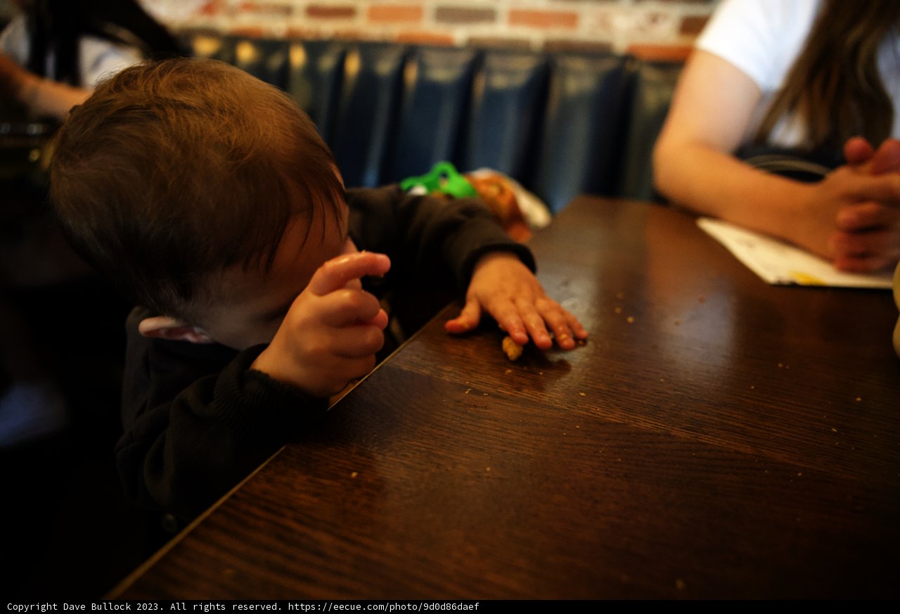 Little Foodie's Disneyland Adventure