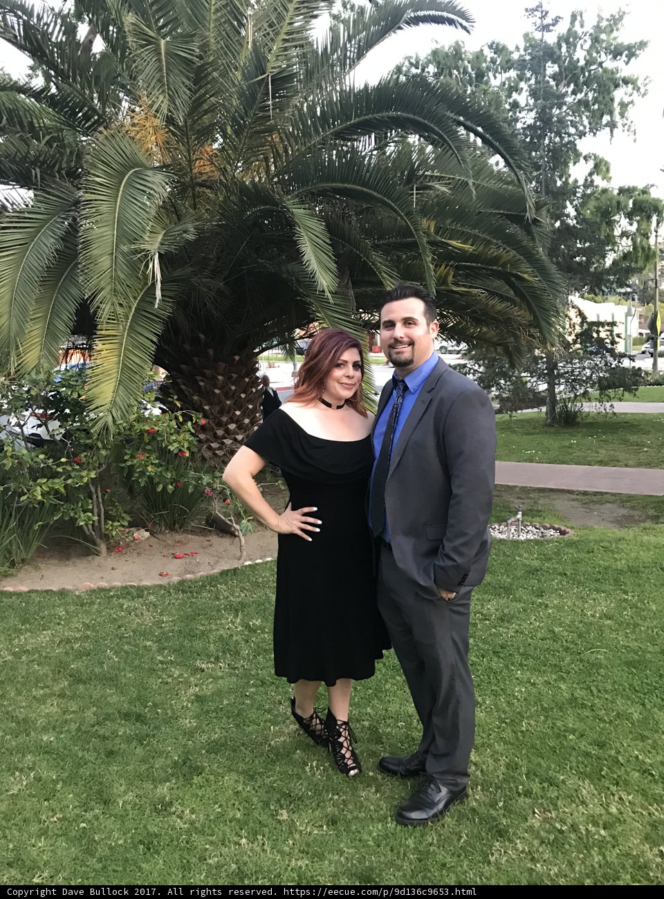 Formal Attire Amongst the Palms