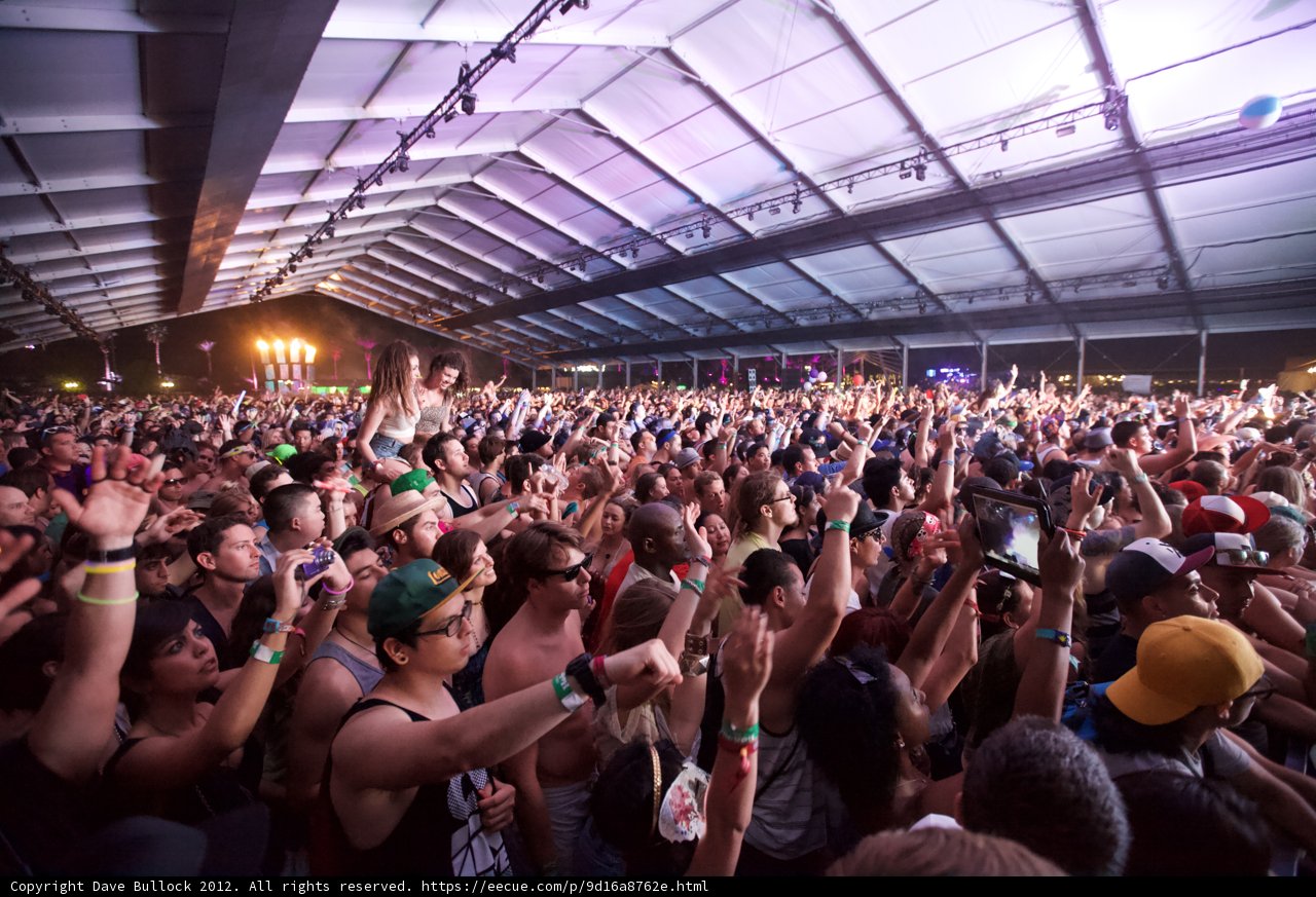 Partygoers at Coachella Music Festival