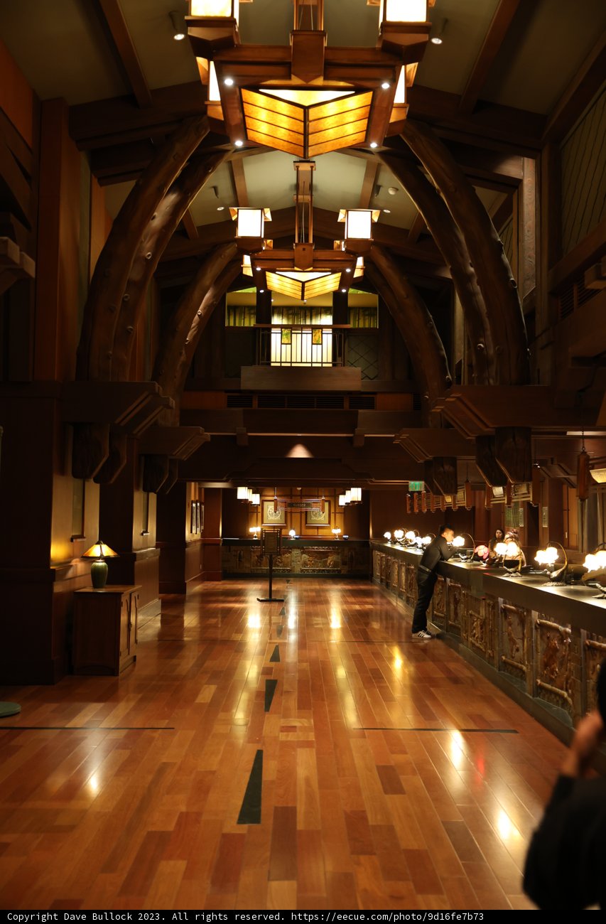 Illuminated Pathways