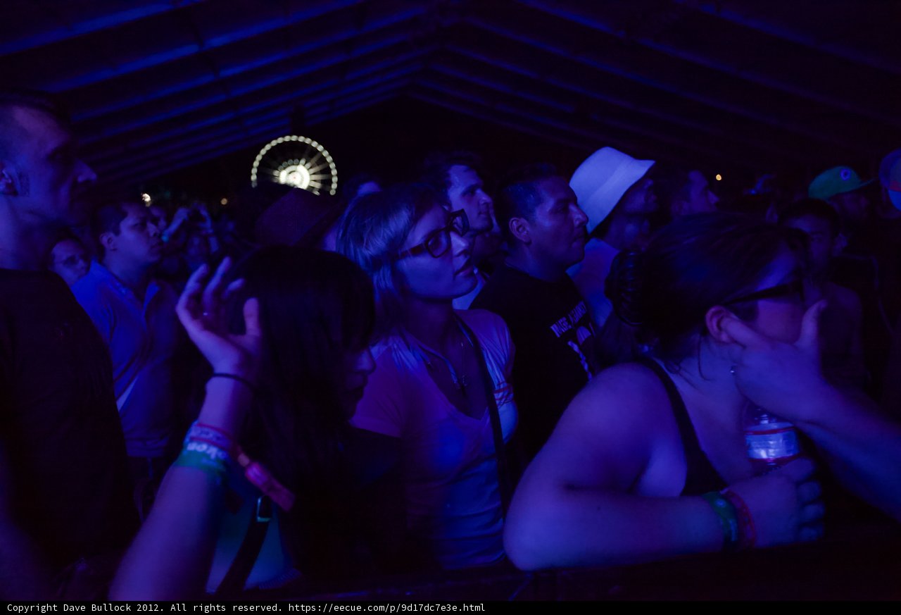 Concertgoers Take on the Nightlife