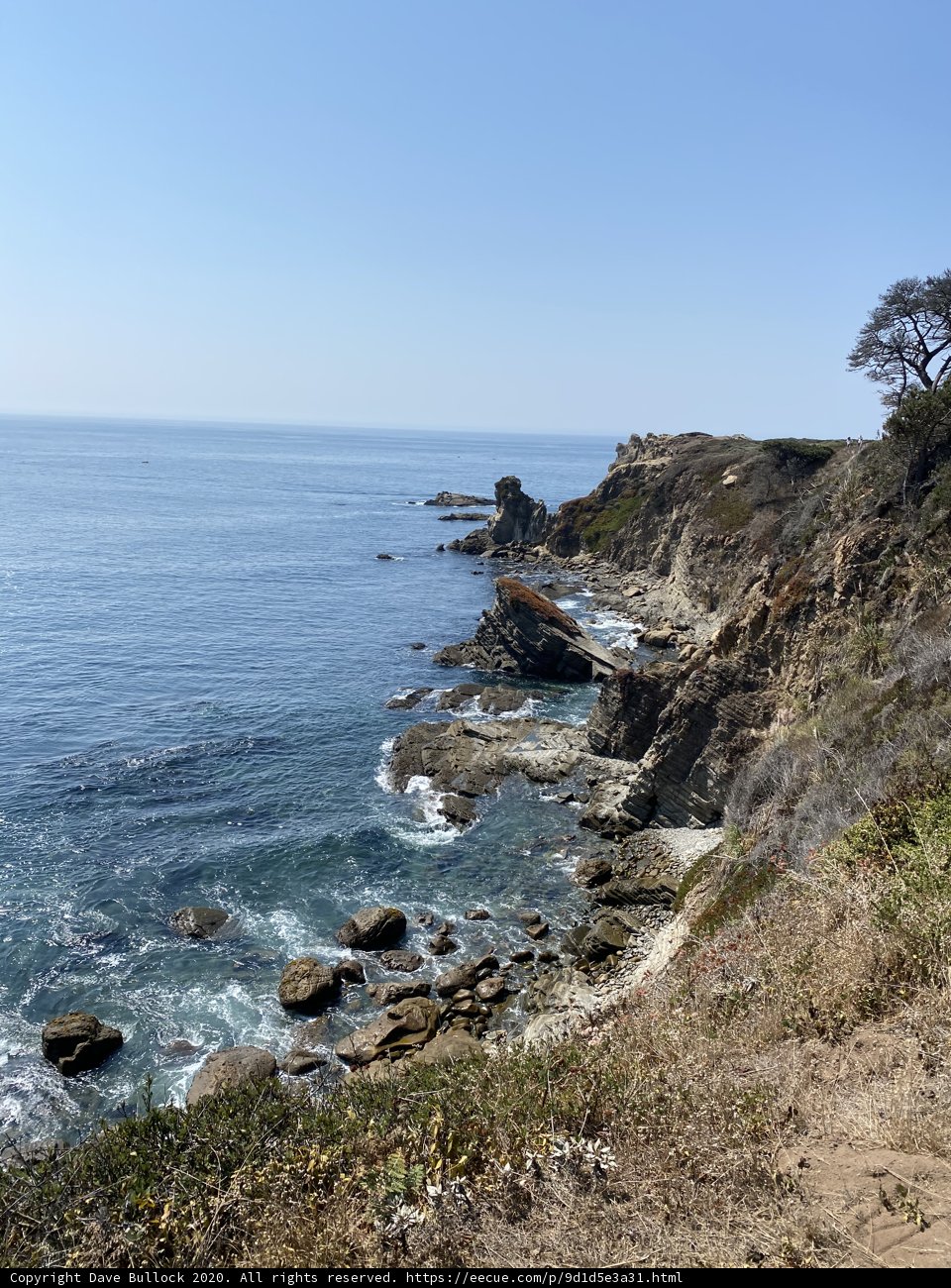Lone Tree on Promontory