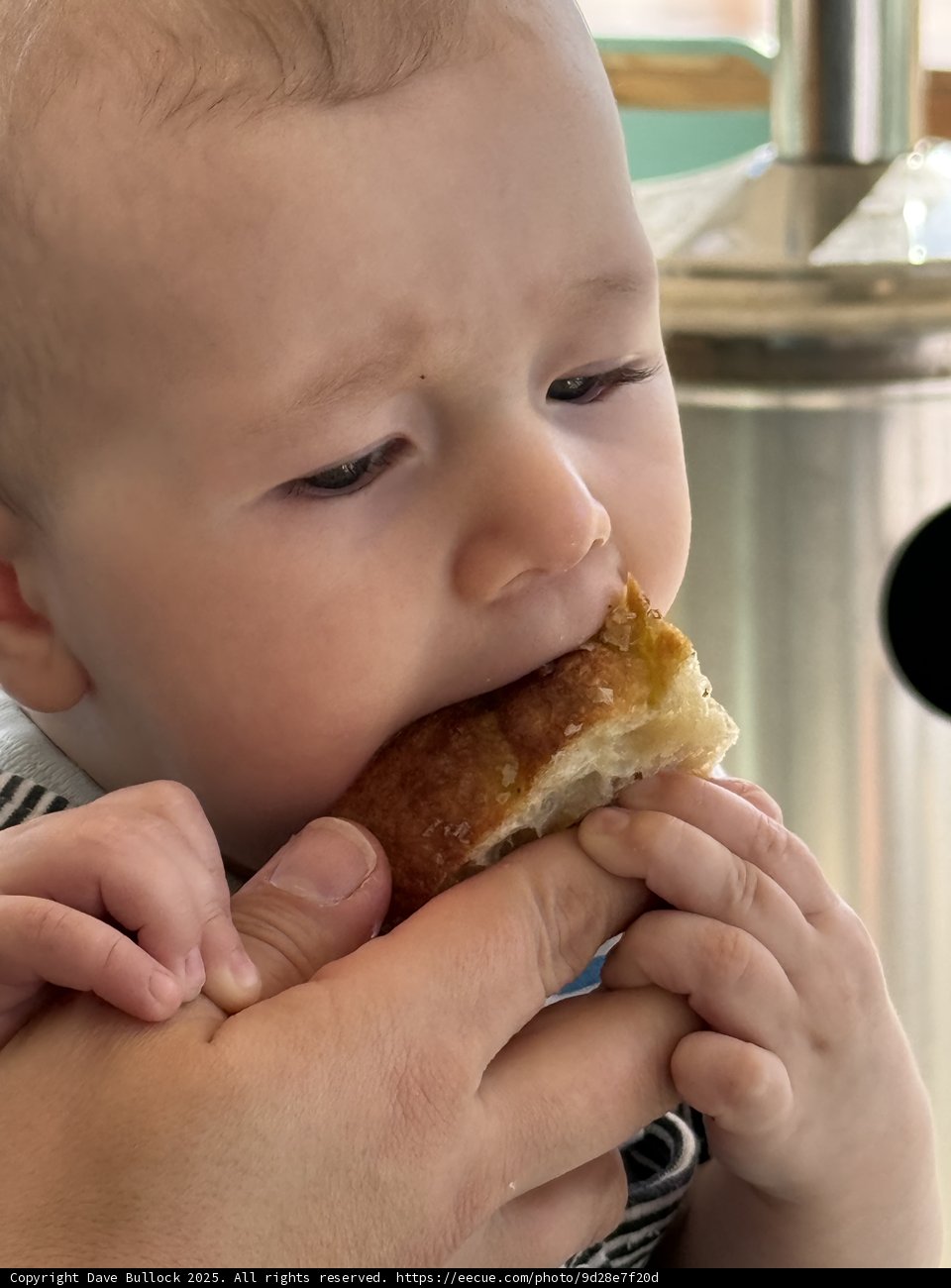 First Bites of Wonder