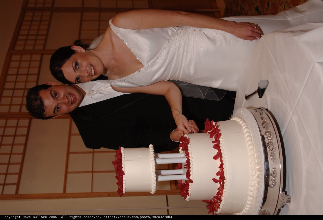 Bride and Groom Cut Three-Tier Wedding Cake Together