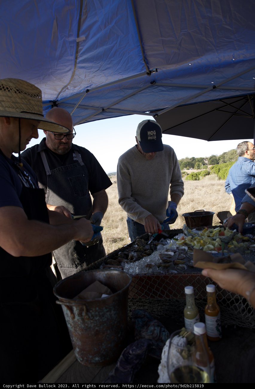 The Hat-tasting Gathering at Hog Island Oyster Co