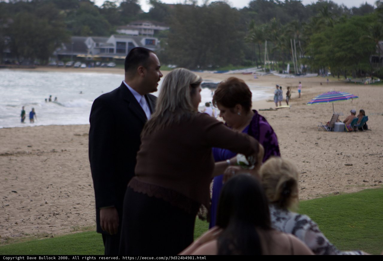 Formal Beach Wedding