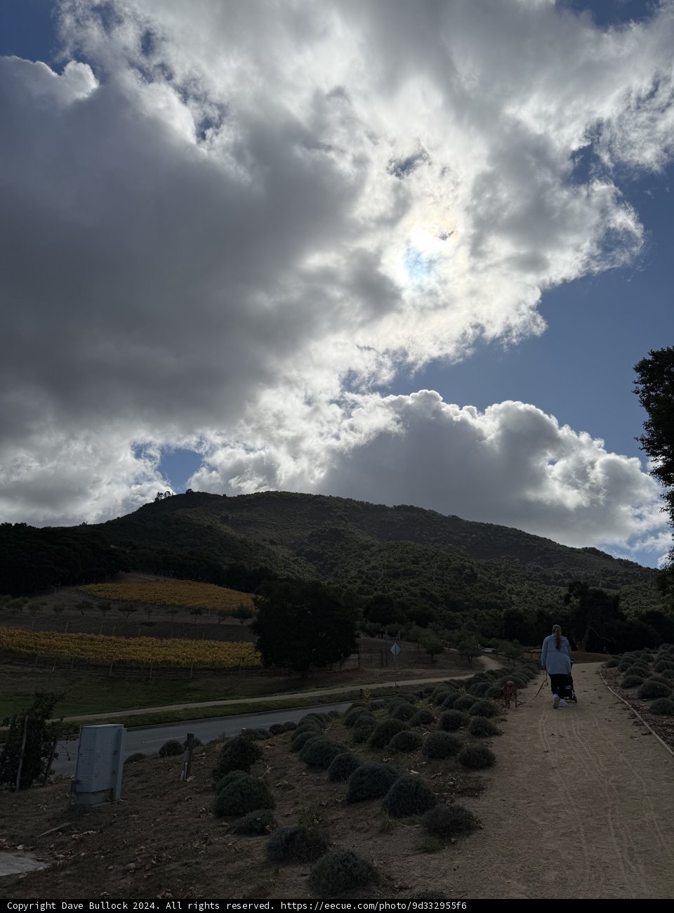 Stroll Under the Clouds