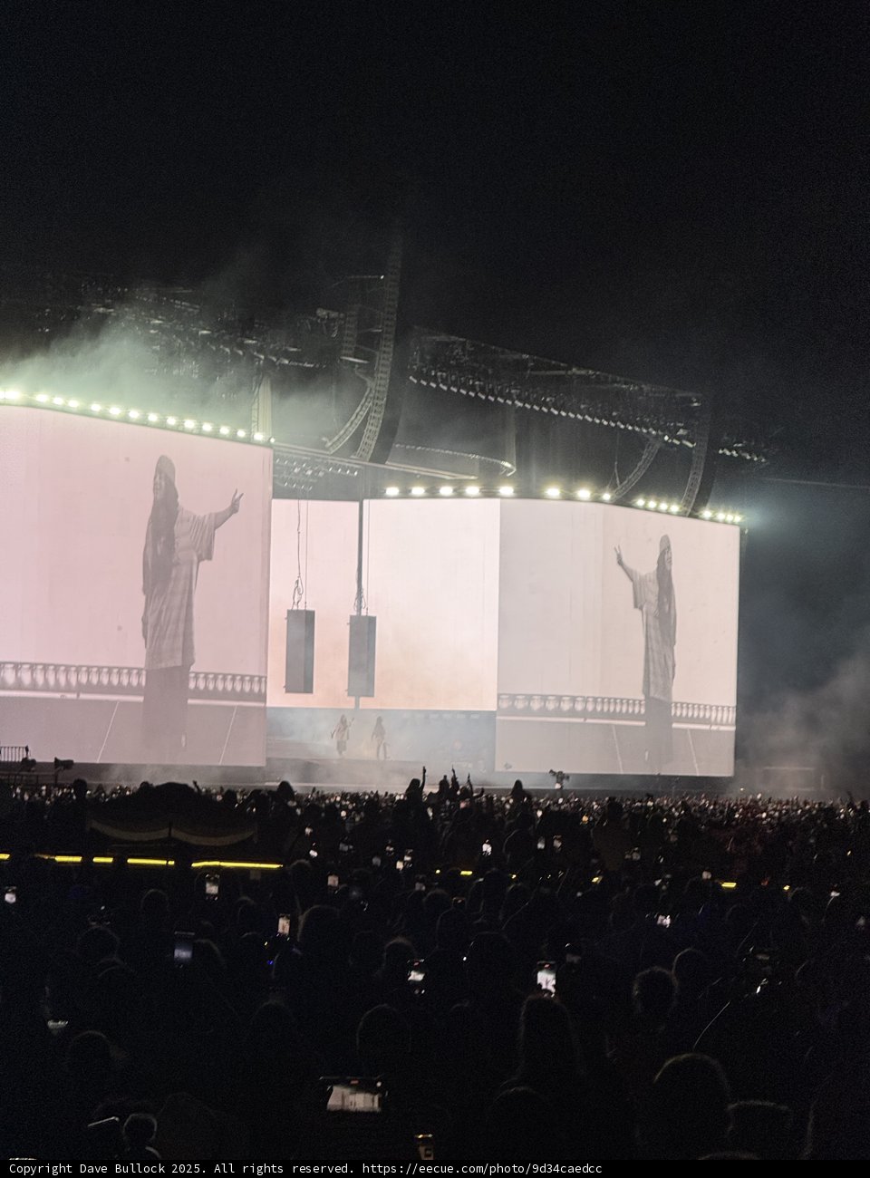 Electric Vibes Under the Desert Sky