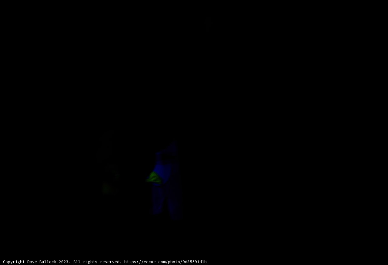 Enchanted Night Explorer