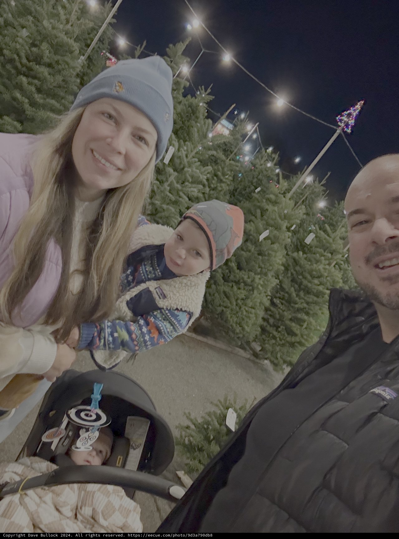 Family Christmas Tree Shopping Night Adventure