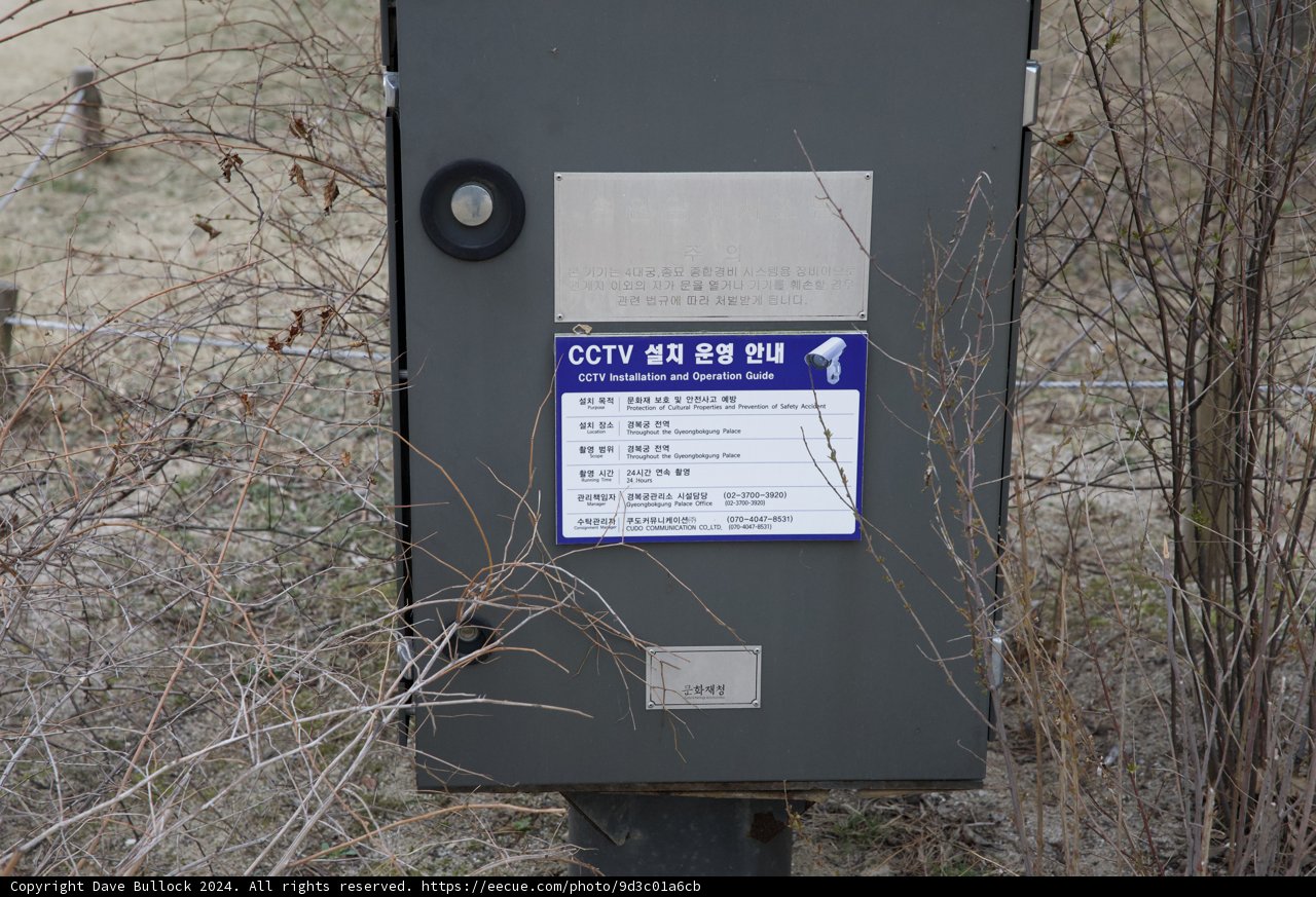 Unexpected Missive in the Korean Wilderness