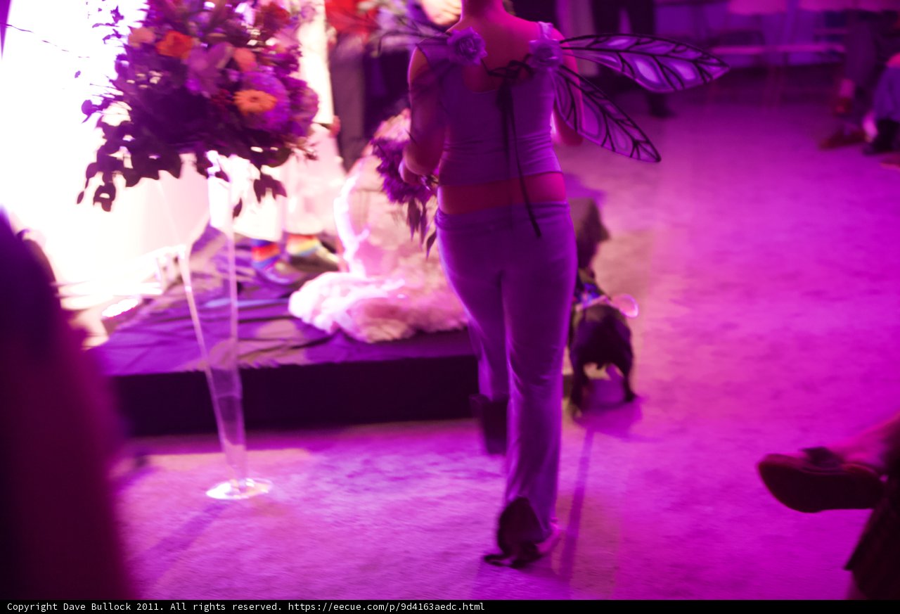 Purple Power on the Runway