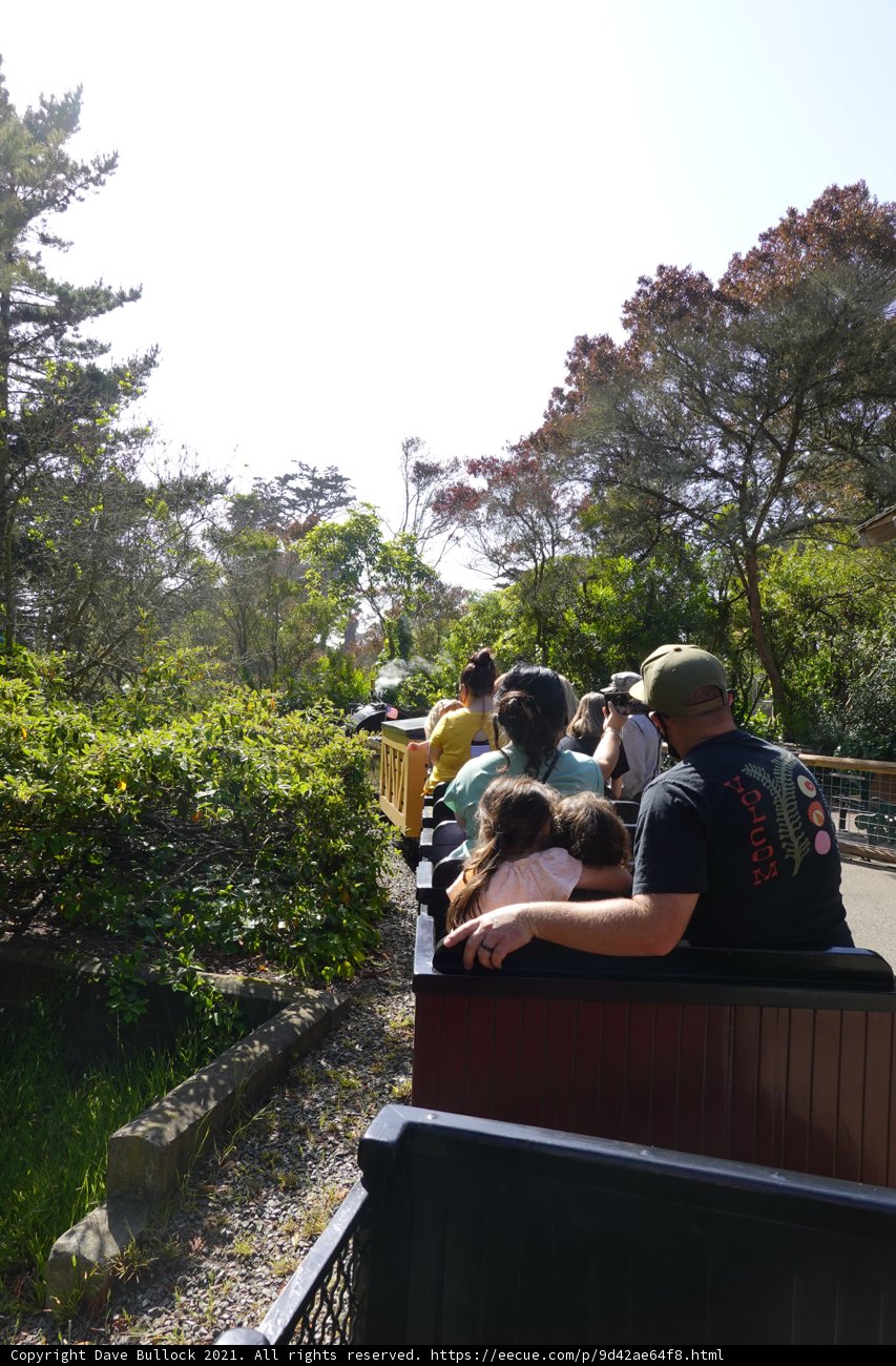 Journey through the Rainforest