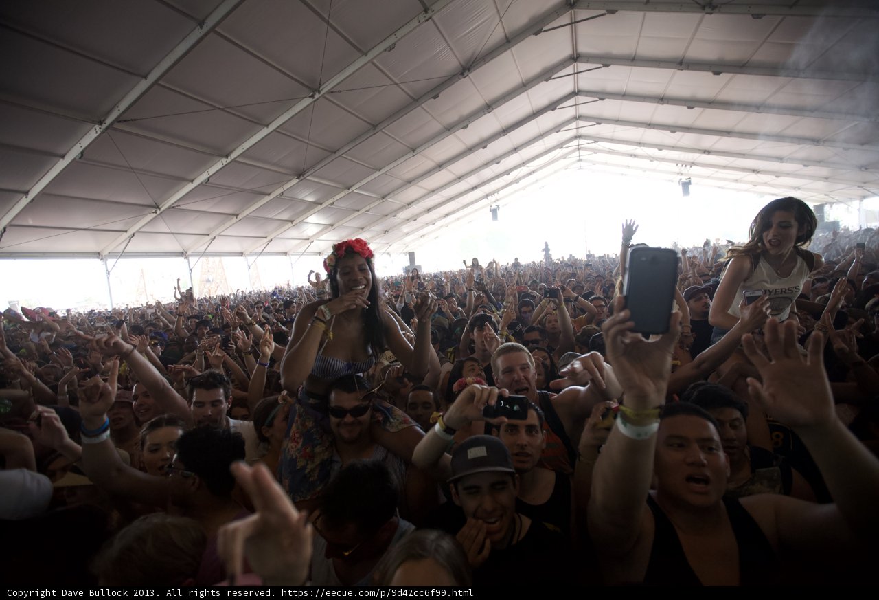 Coachella Crowd Goes Wild