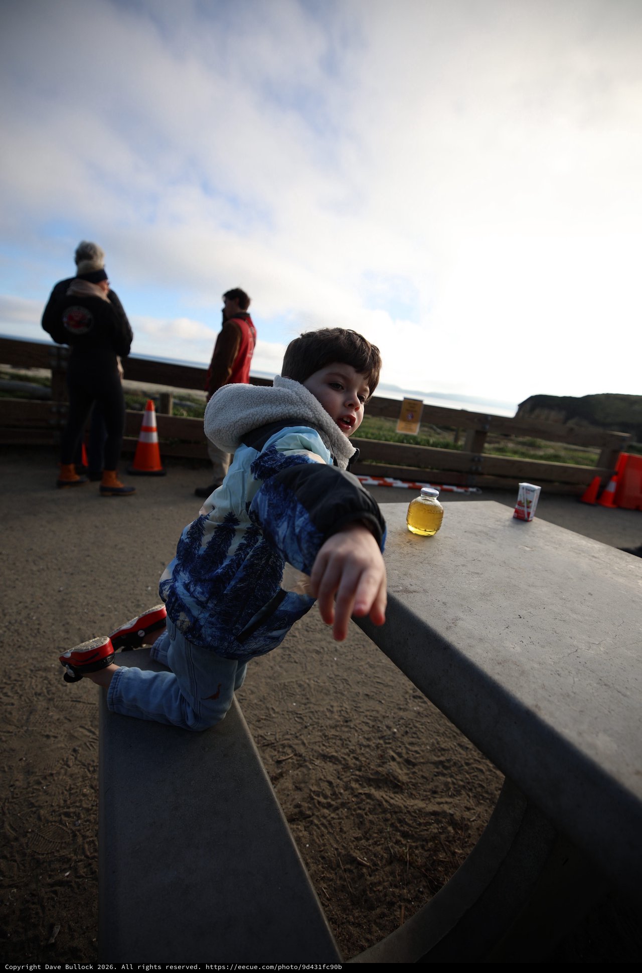 Young Boy at Coastal Elephant Seal Viewing Area