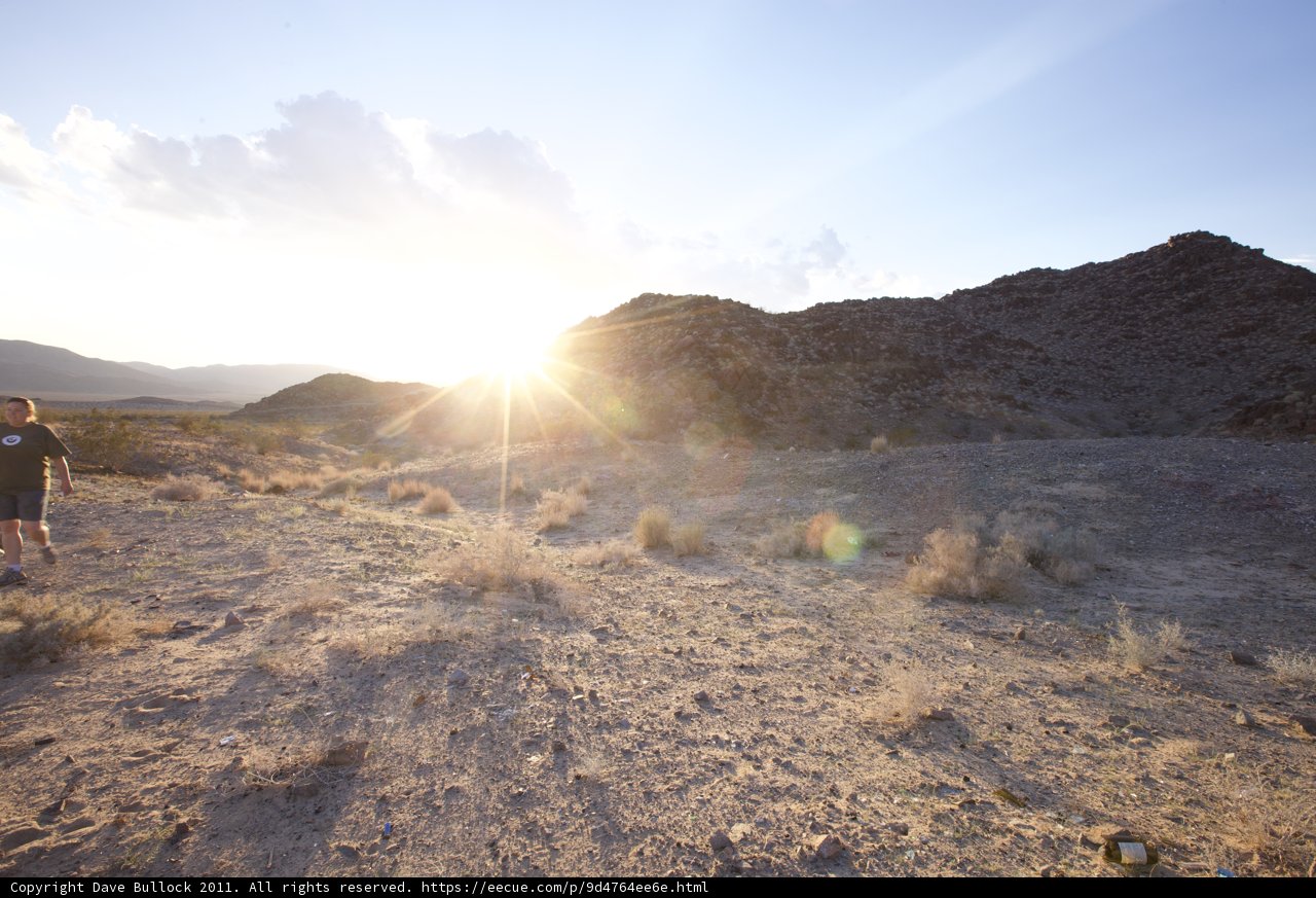 Sunset Walk in the Desert