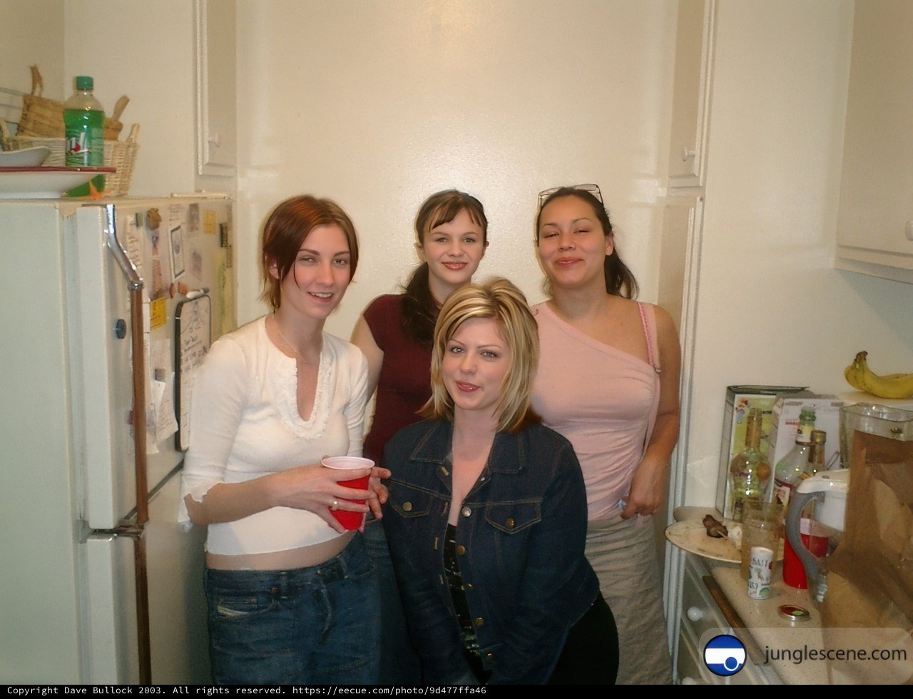 Four Women in a Busy Kitchen