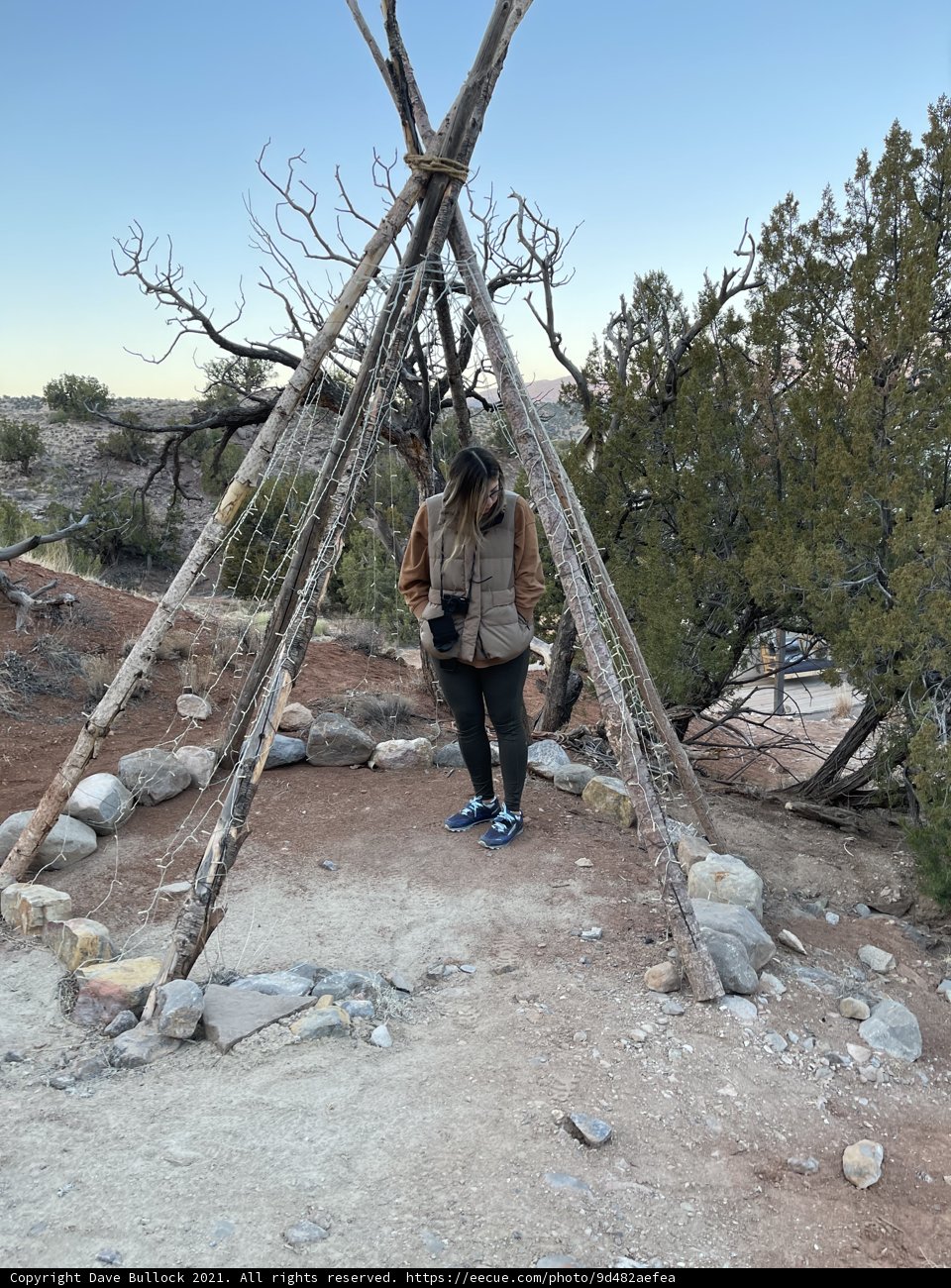 Standing Tall in the Wilderness