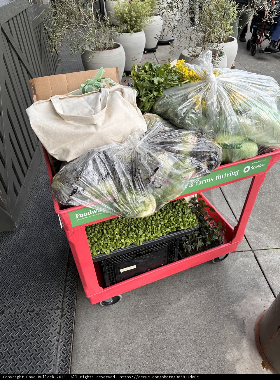 Fresh Harvest in San Francisco