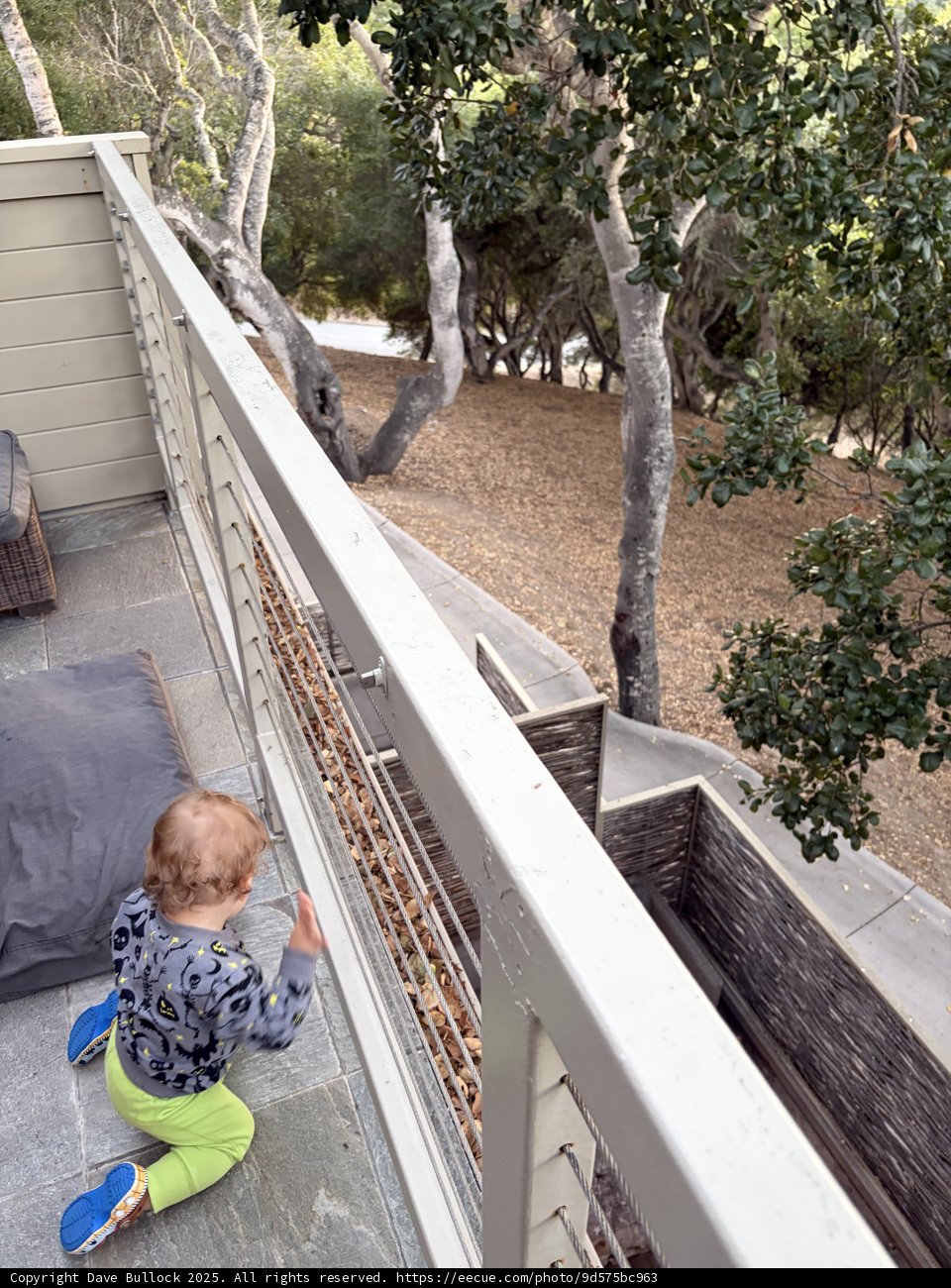 Curious Moments on the Balcony