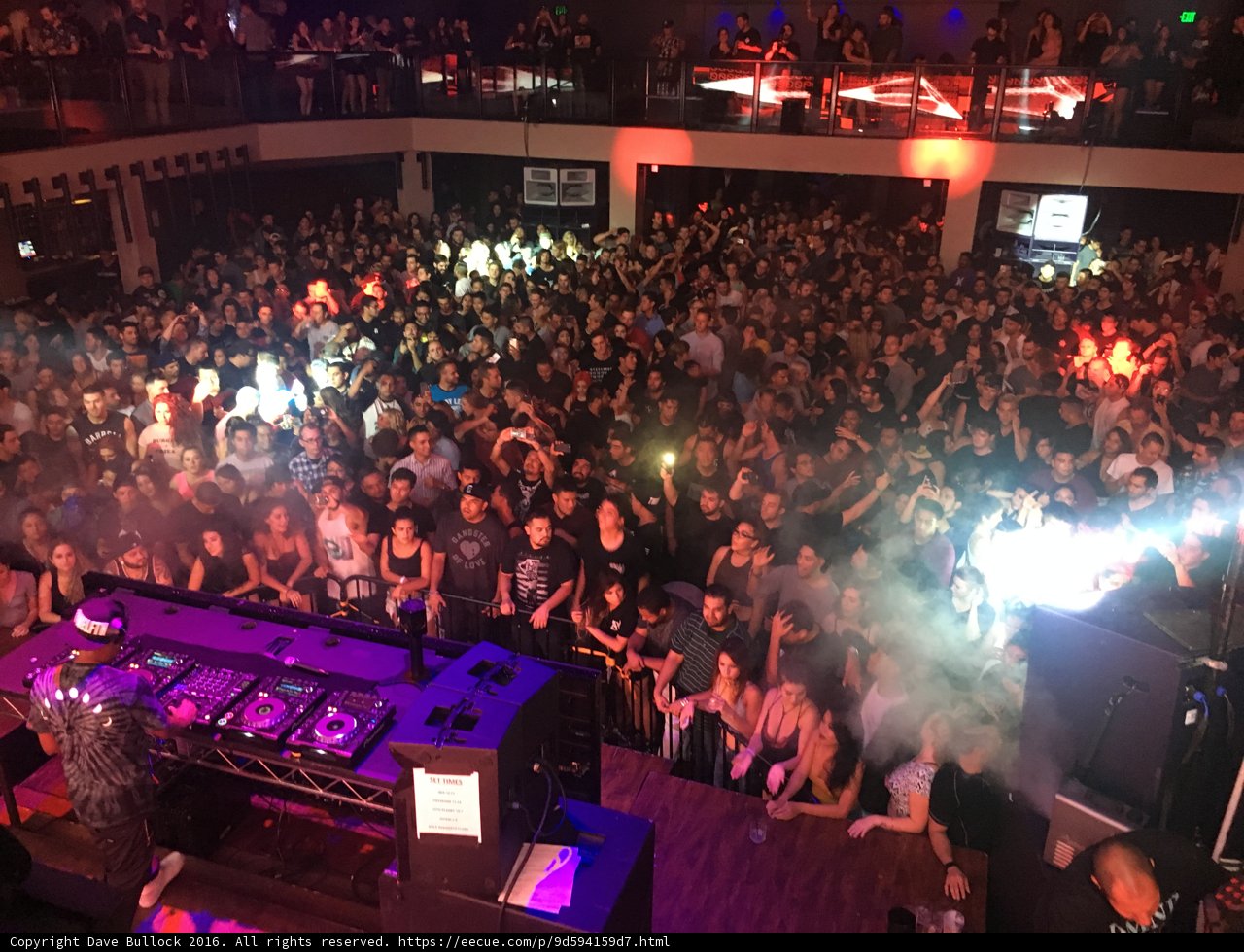 The Nightlife Concert