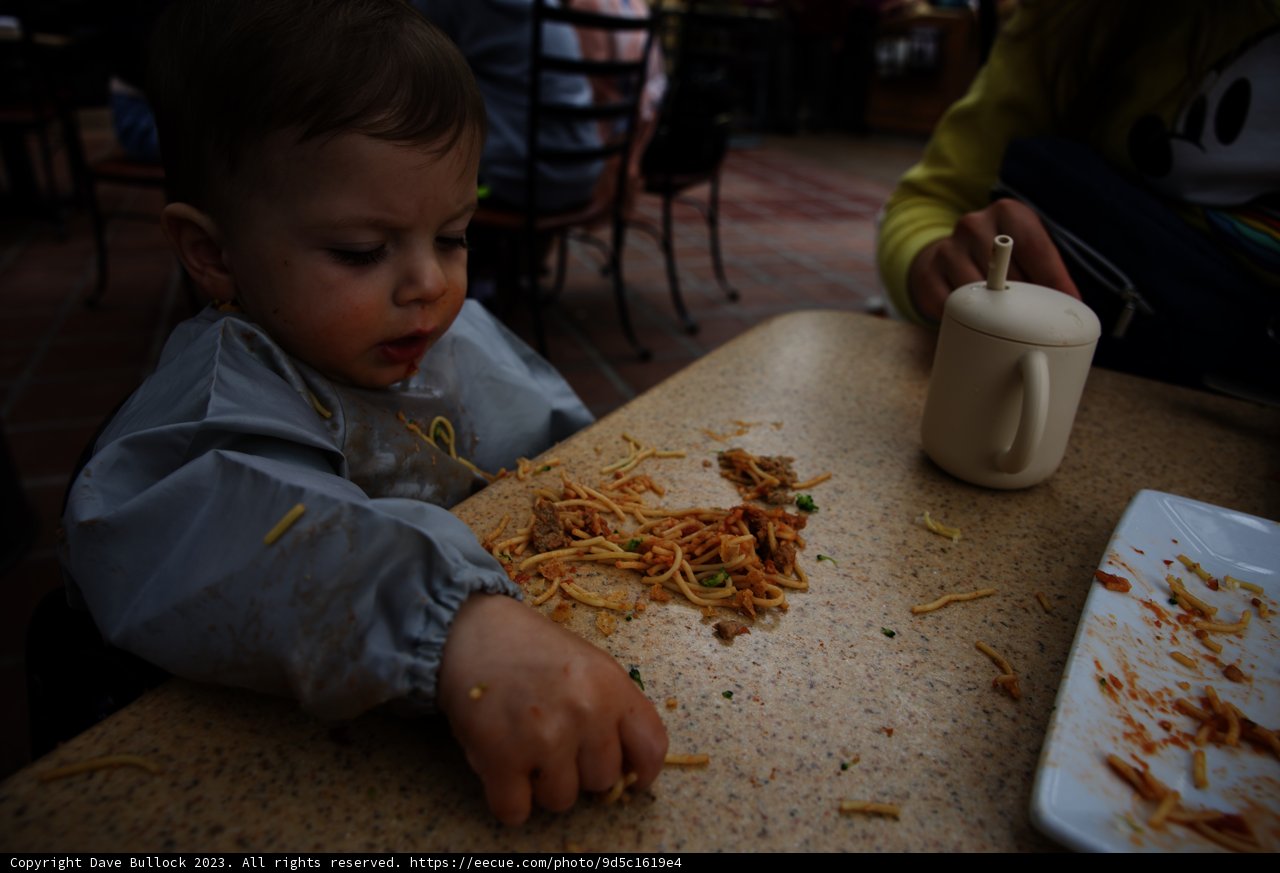 First Spaghetti Adventure at Disneyland