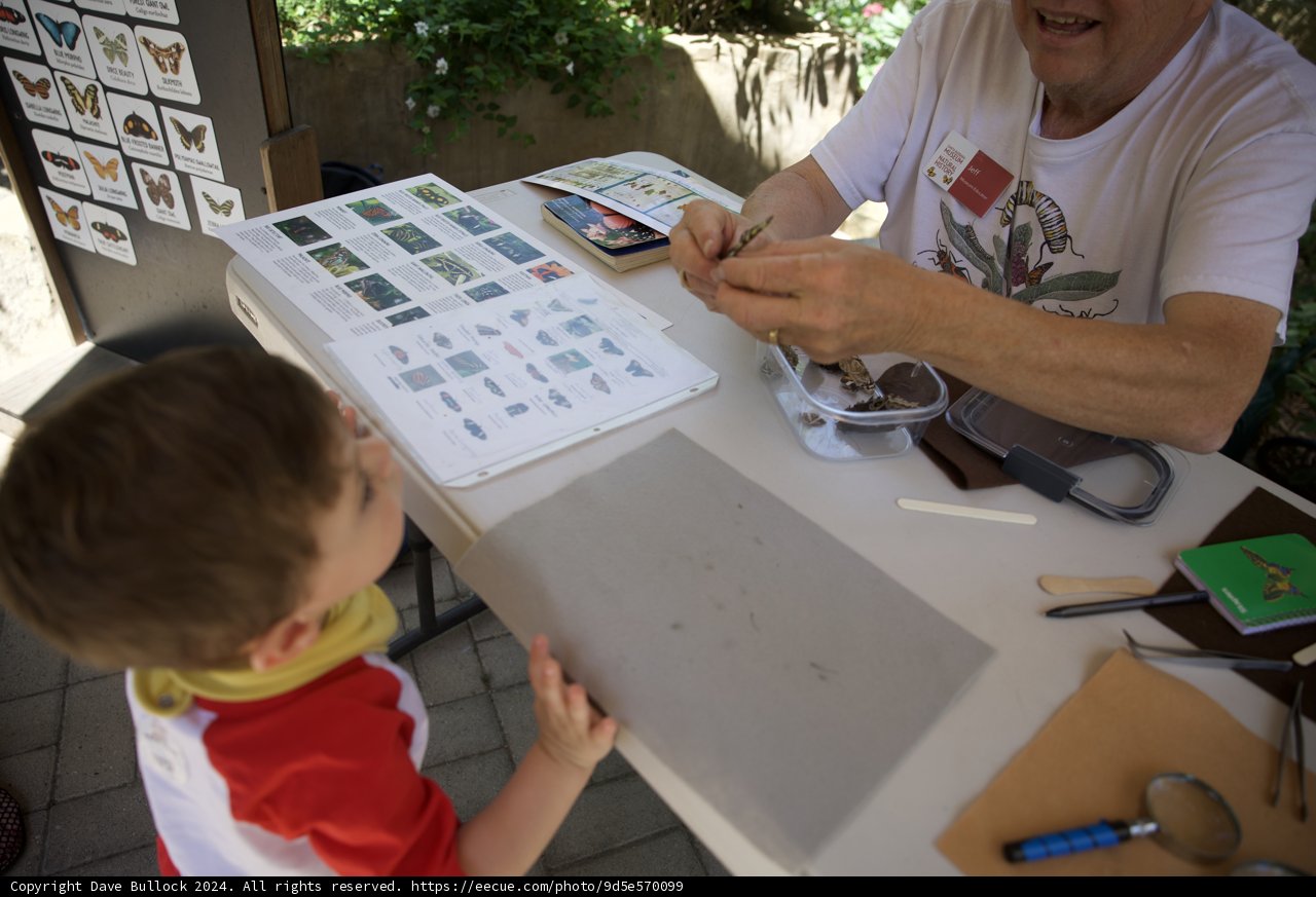 Discovering Nature on Wesley's Second Birthday