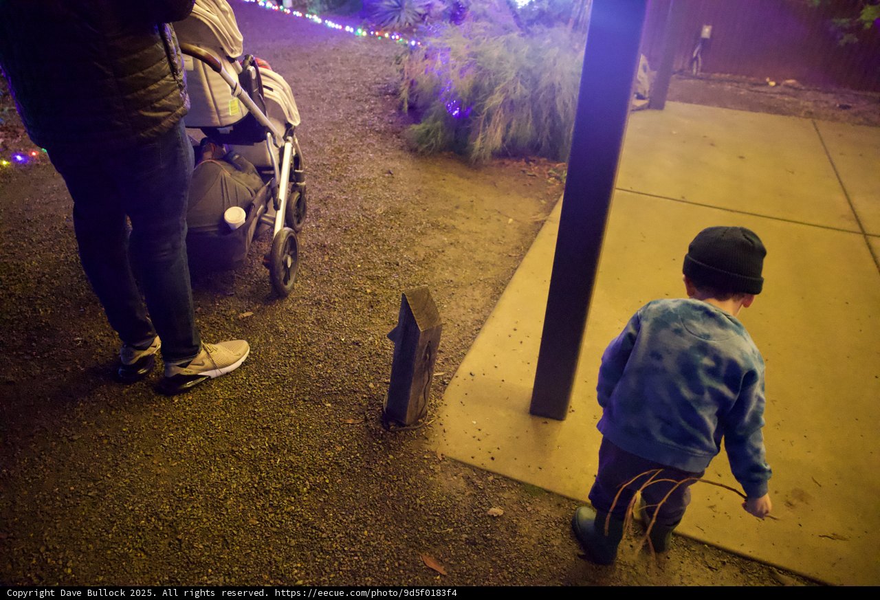 Evening Stroll at Ruth Bancroft Garden