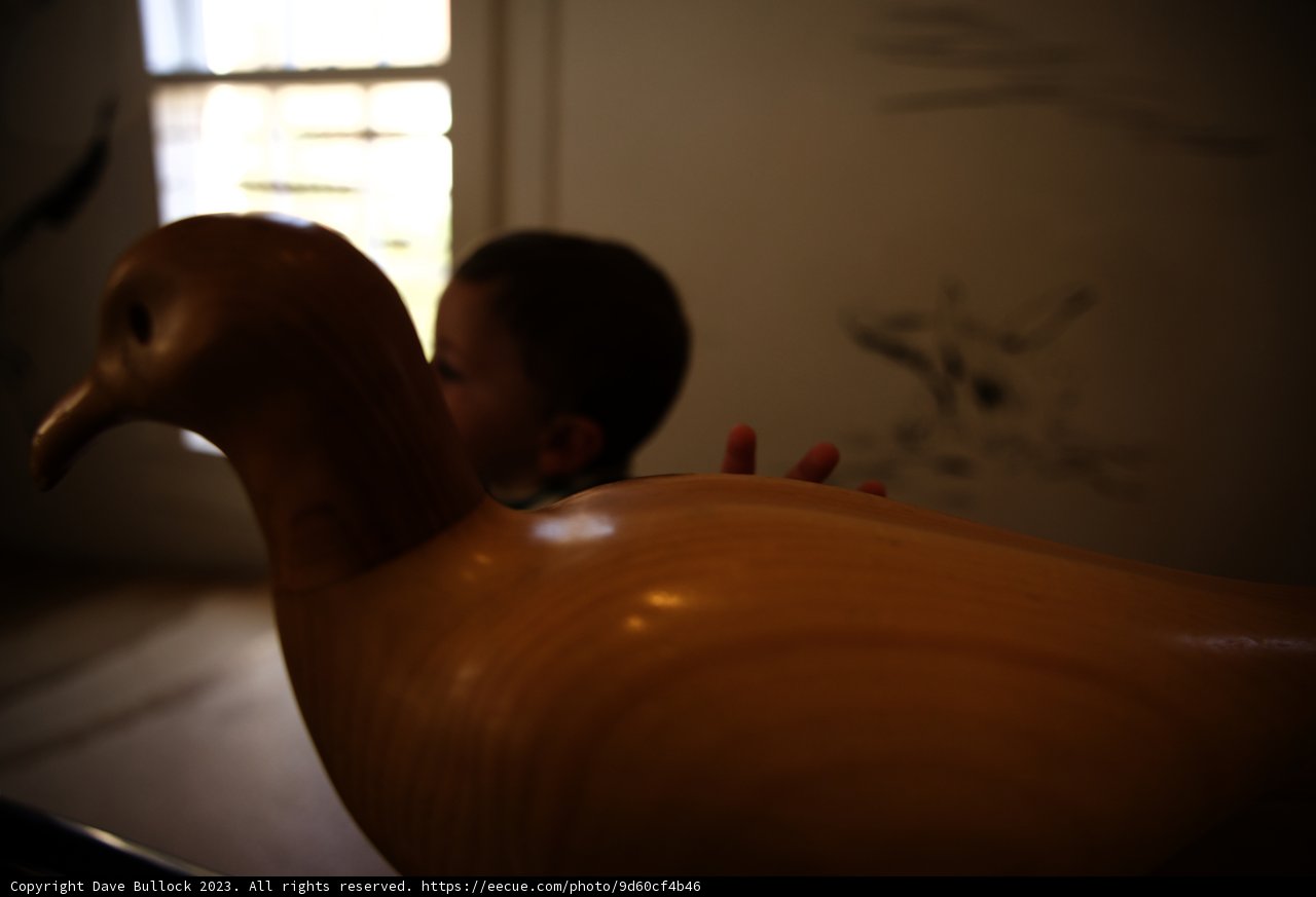 The Wooden Bird - A Cherished Discovery