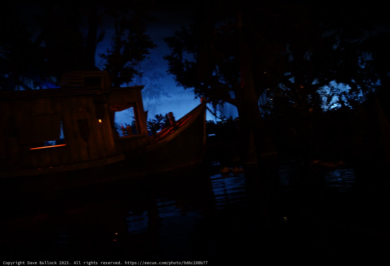Enchanted Night Voyage