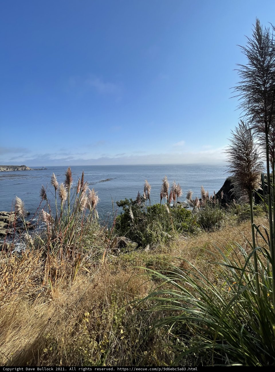 Overlooking the Untamed Beauty of California's Coastline