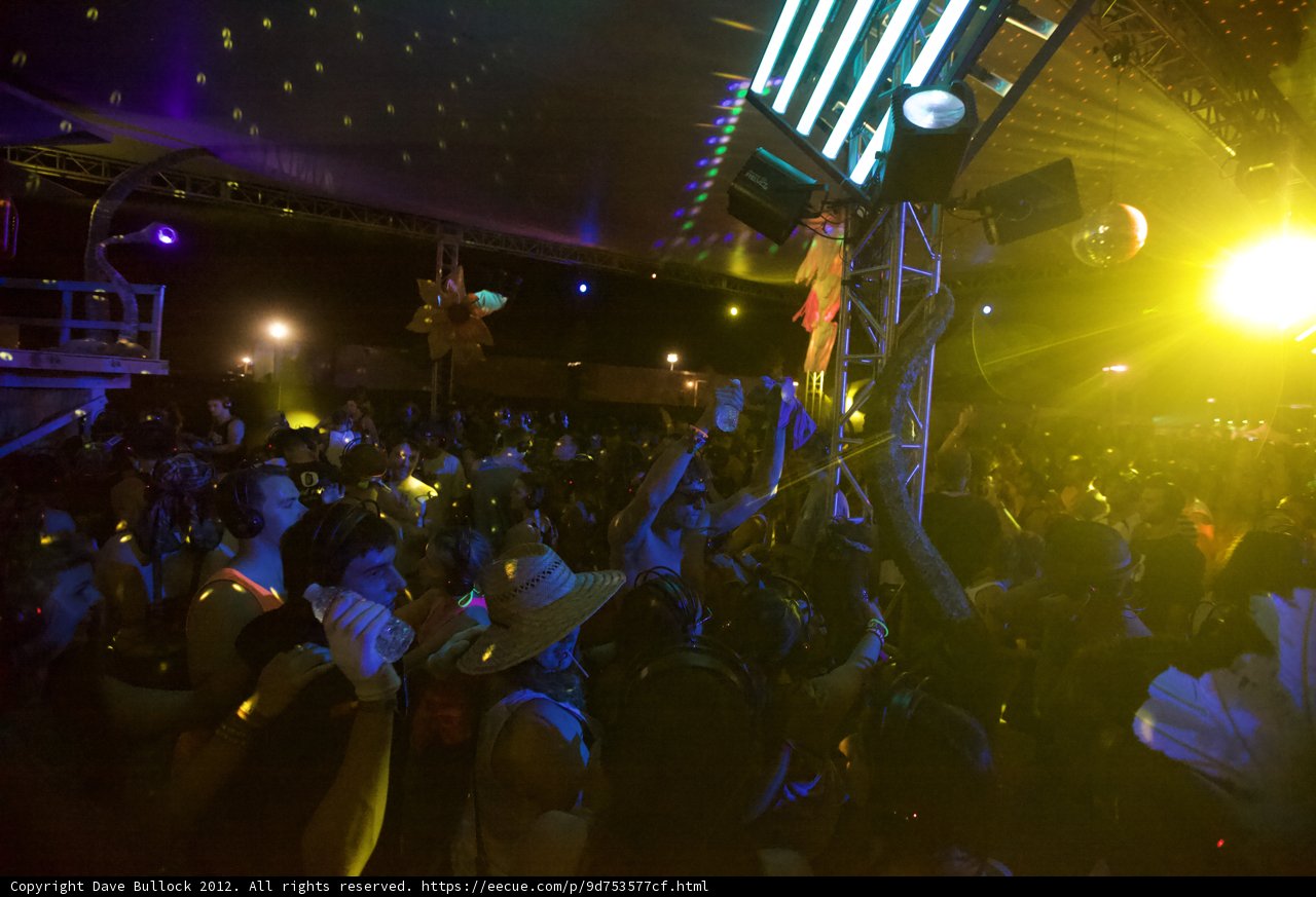 Nightlife Delight