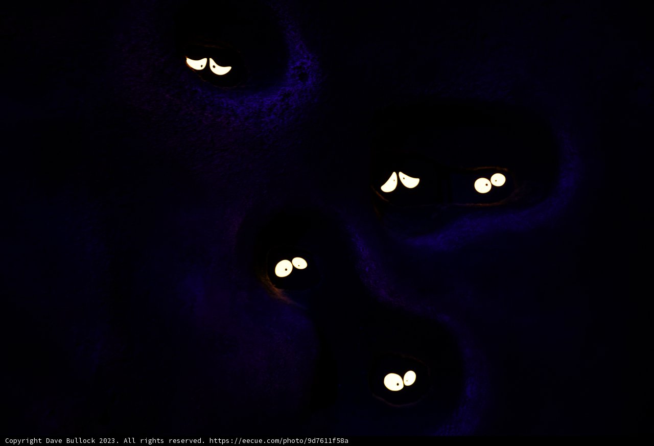 Enchanting Cave of Whispers