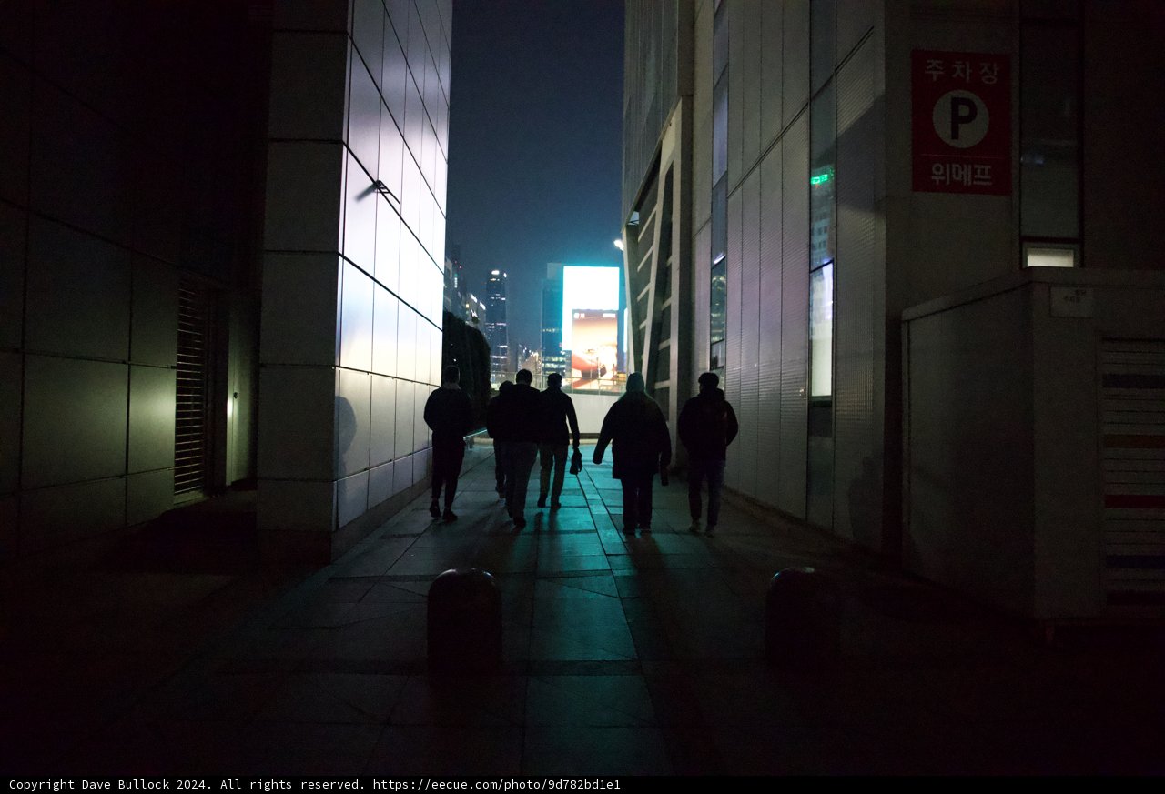 Ethereal Nocturnal Excursion