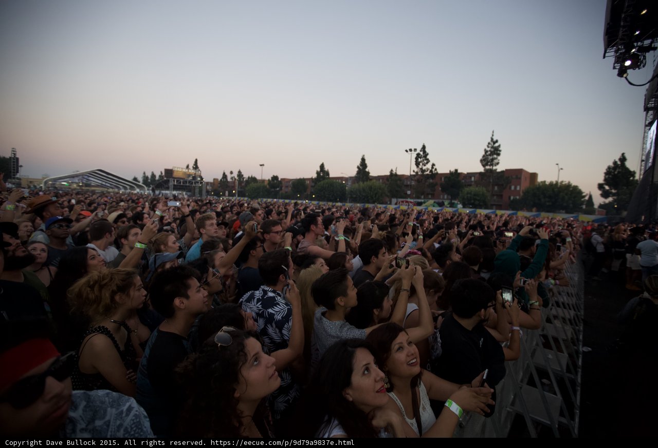 Massive Festival Crowd Dusk