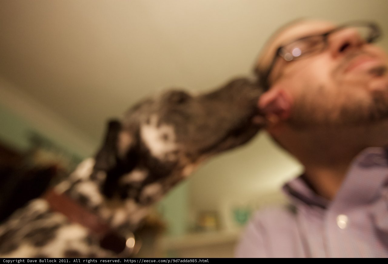 Man and His Canine Companion