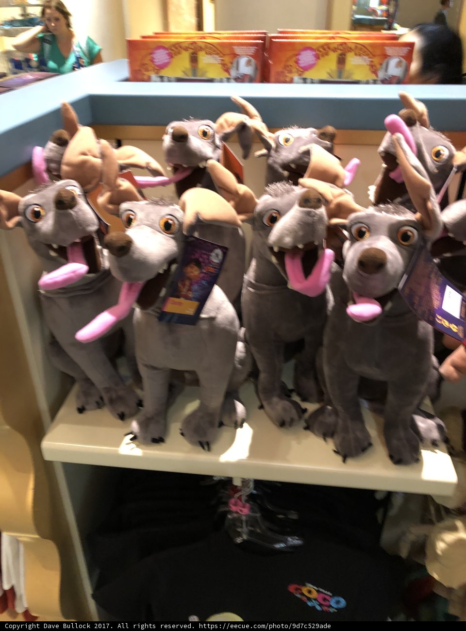 A Menagerie of Plush Animals