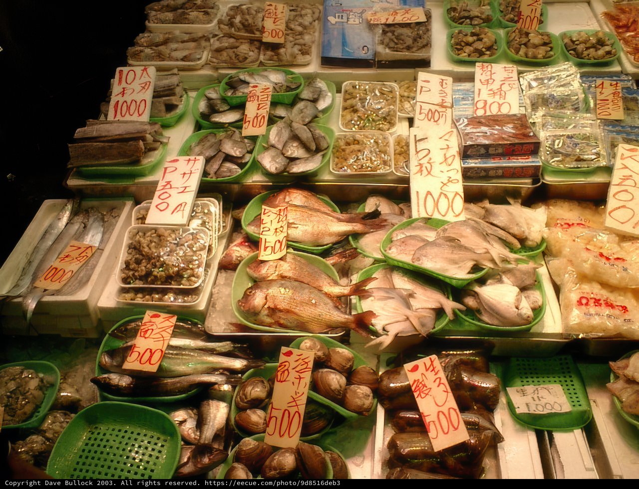 Seafood Delights at Tokyo Metropolitan Market