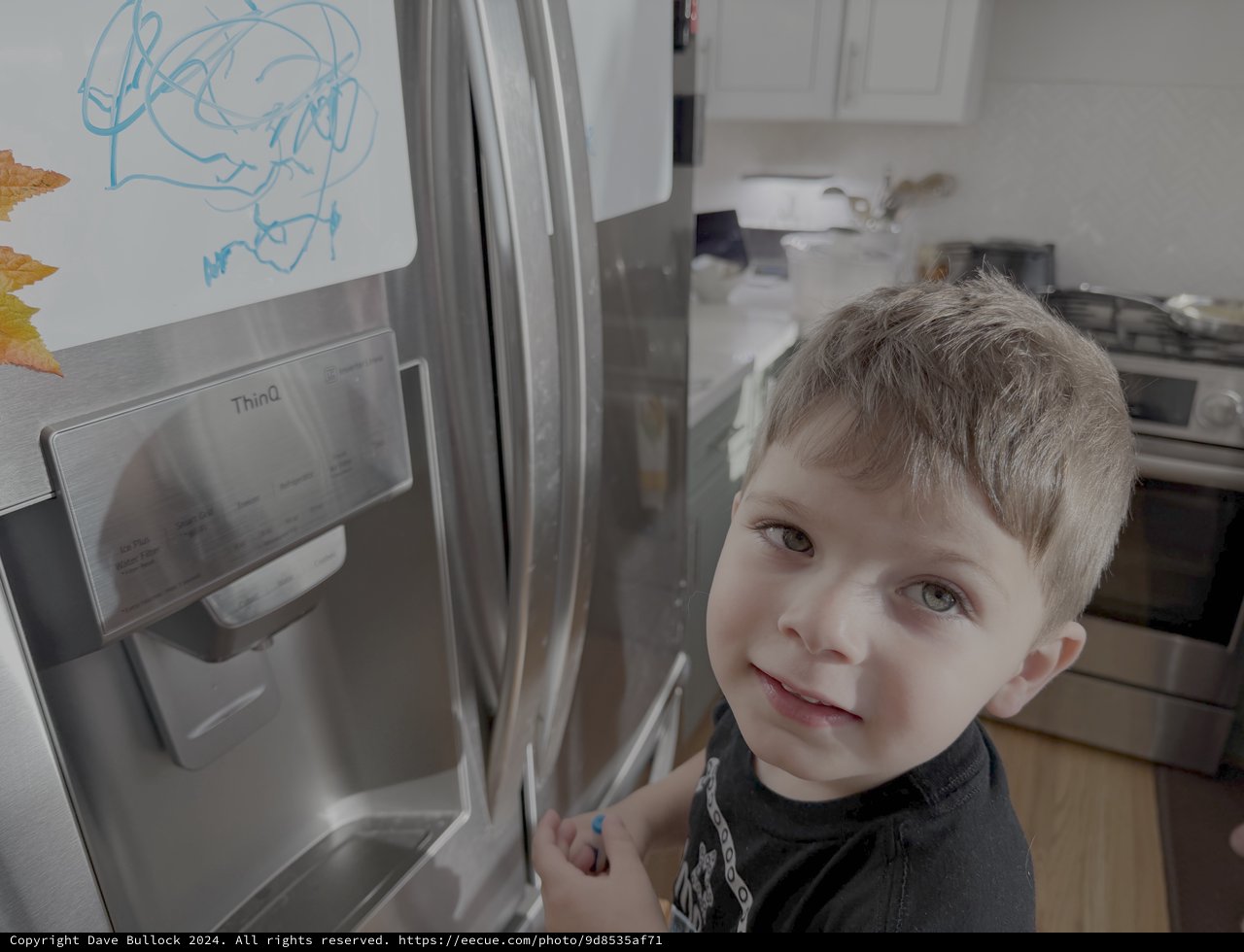 Young Boy Opening Stainless Steel Refrigerator Door