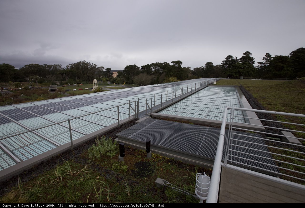 Green Roof with Solar Panels
