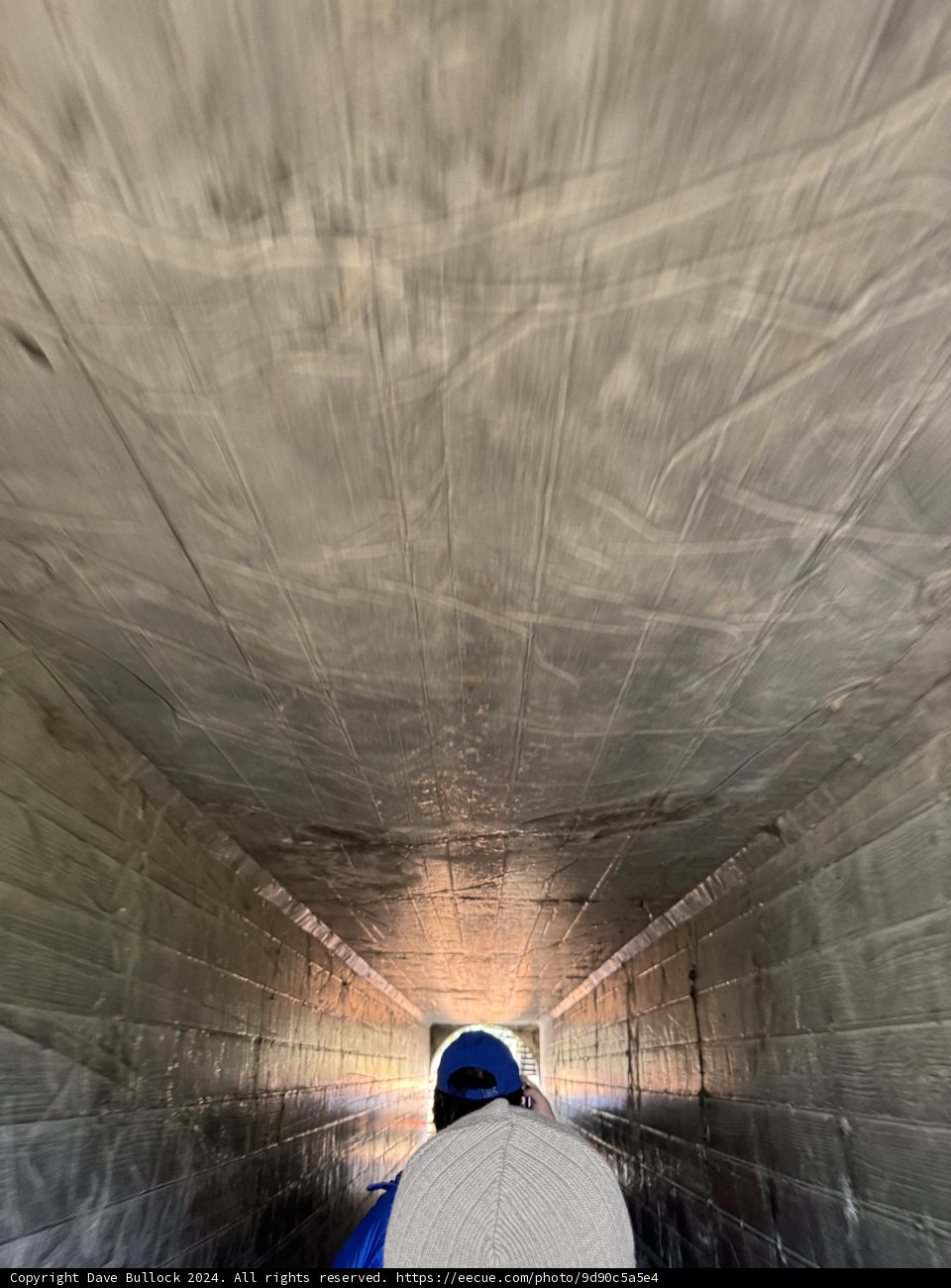 Journey Through the Tunnel
