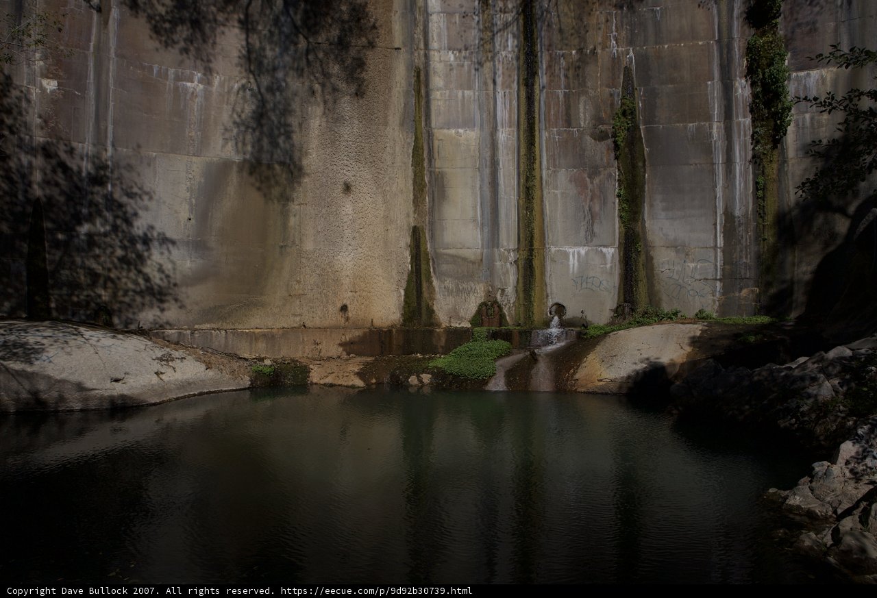 Oasis in the Canyon