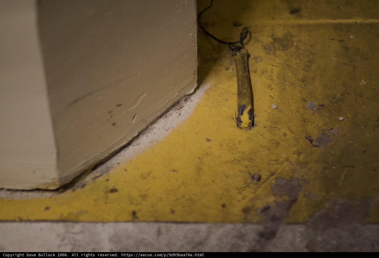 Mysterious Object on Plywood Floor