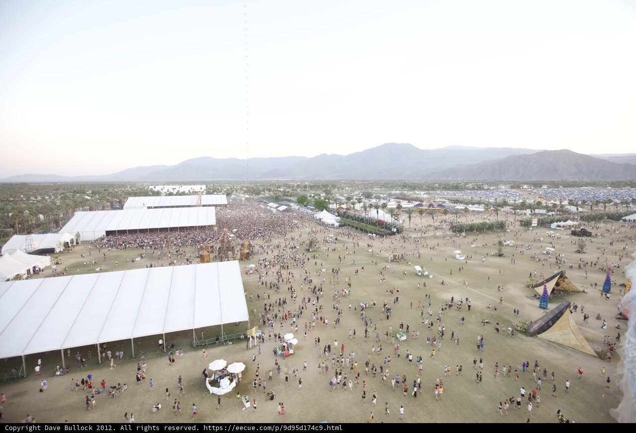 Festival Frenzy in the Desert