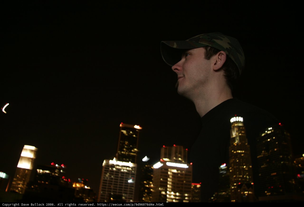 Nighttime Metropolis