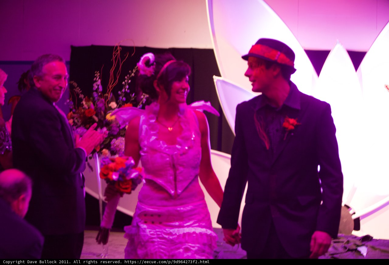 The Elegant Wedding Walk
