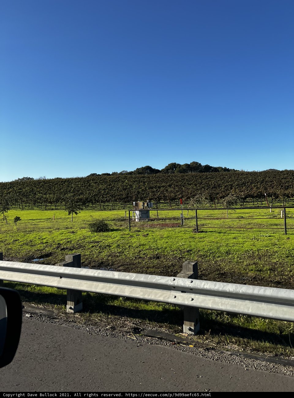 Rolling Through Rustic Napa
